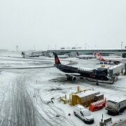 トロント ピアソン国際空港 (YYZ) クチコミ・アクセス・営業時間