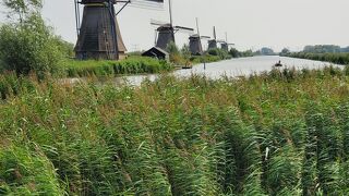 オランダらしい