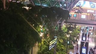 見るところはたくさんある。