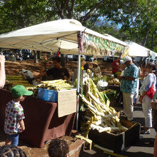 サトウキビジュースも人気