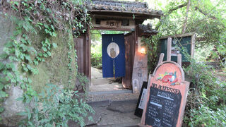 園山さんが目指す「尾道イーハトーヴ（理想郷）」は「猫の聖地」なのです