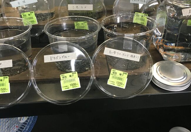 果物、野菜低価格