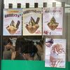 信玄餅好きさん必見スポット