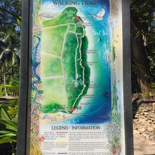 ハイキングコース