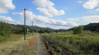 ２３７号線のすぐそば