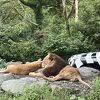楽しかった！