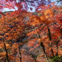 箕面公園
