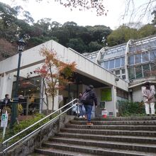 箕面公園昆虫館