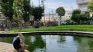 浮間つり堀公園