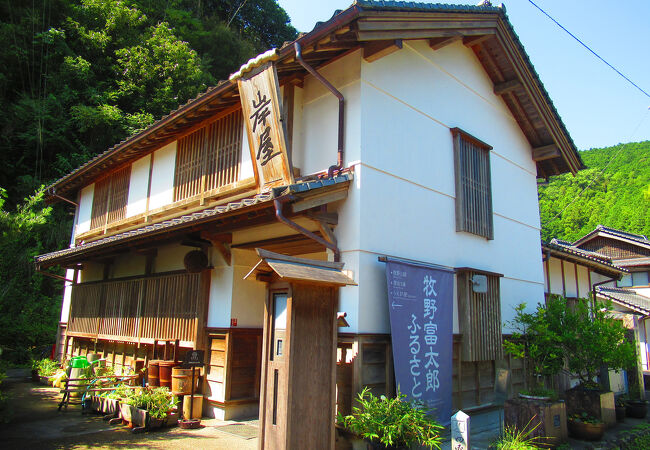 牧野富太郎ふるさと館