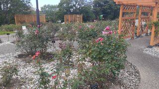 ローズガーデンちっぷべつ