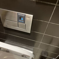 Flush Button がフタの裏にあるから毎回使いにくい