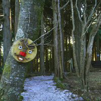 アスレチックの森