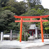 池は底まで透きく通っている