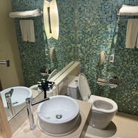 バスタブはありませんでした