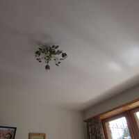 花のような照明