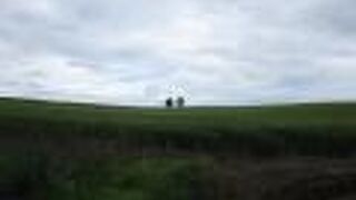 夏の訪問がいい