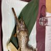 綺麗な客室
