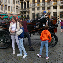 広場を走っていたクラシックな観光馬車、景観にマッチしています