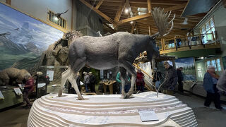 デナリビジターセンター