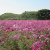 さきたま古墳公園