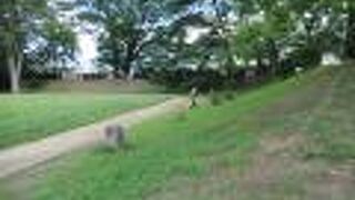 現在は公園と境内地として利用されています