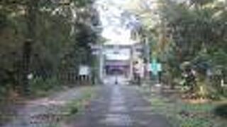 薄暗くなってからは参拝しにくい雰囲気があります