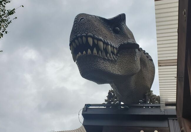 恐竜や交通ルールも学べます