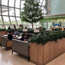 緑がいっぱいでガラス張りの、明るいラウンジです