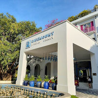 ここから入ります