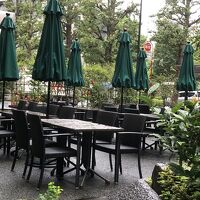 緑も結構えるので、気持ちよいです。周りには小洒落た食事処もち