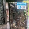 龍泉洞とセットで見学する鍾乳洞