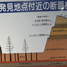 発掘当時は・・・