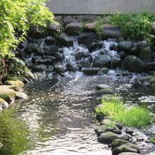 新盛緑川水岸廊道