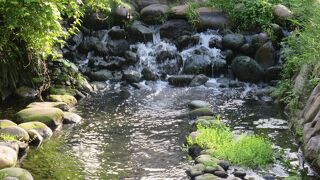 早朝の散策に・・・