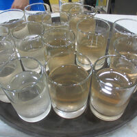 ウエルカムドリンク　蓮茶