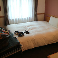 宿泊料金を考慮するとこの狭さは理解できます