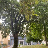 ホテルの中庭です。食後の軽いお散歩にもちょうどよいです。