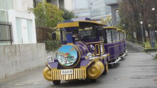 ロードトレイン (大阪城公園内移動交通システム)