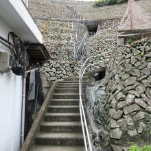 遊子水荷浦の段畑