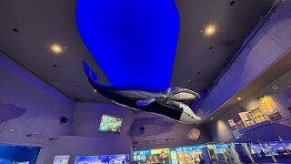 子連れには最適な場所