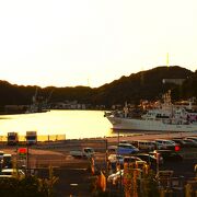 黄金色に輝く景観を観る…　～　ＪＲ下関駅