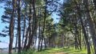 入野松原 入野海岸