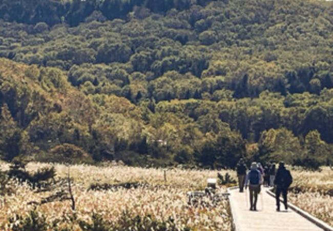 駐車場は2時間半待ち/浄土平2024秋　紅葉情報