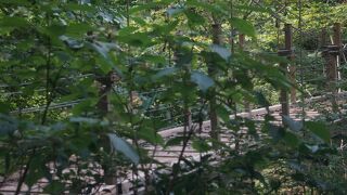 吊り橋を渡る４号路はやや狭いけれどオススメです！