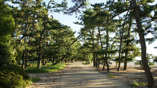 天橋立公園