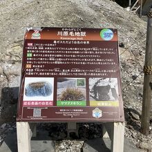 川原毛地獄