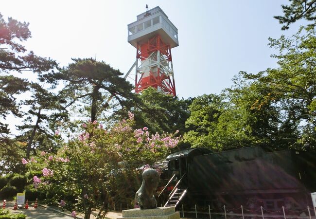 ときわ公園 クチコミ・アクセス・営業時間｜宇部・小野田