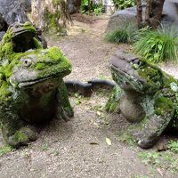 玄関脇にいたカエル君達