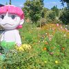 10月中旬はコスモスがチラホラ